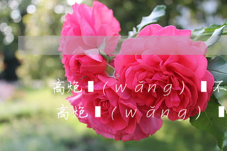高炮網(wǎng)貸不還會被起訴嗎(面對高炮網(wǎng)貸該如何處理)