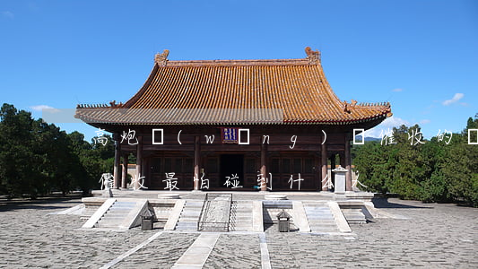 高炮網(wǎng)貸催收的說要上門(高炮催收最怕碰到什么人)