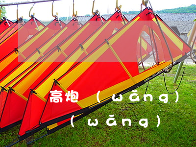 高炮網(wǎng)貸逾期太多怎么辦(高炮網(wǎng)貸還不上怎么辦)