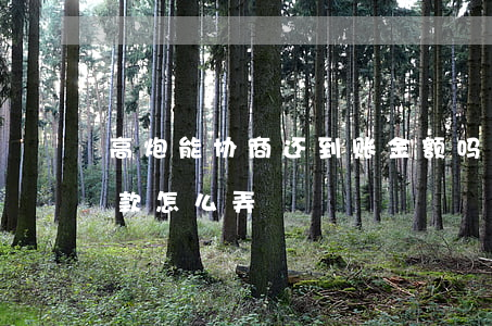 高炮能协商还到账金额吗（高炮逾期后协商还款怎么弄）