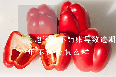 高炮还款不销账导致逾期(高炮产生的逾期费用不还会怎么样)