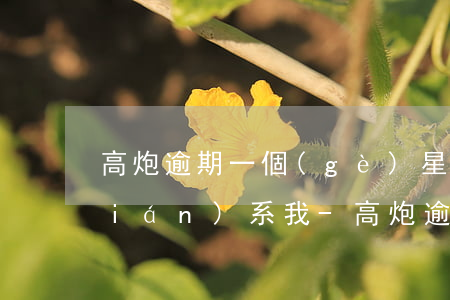 高炮逾期一個(gè)星期沒有催收聯(lián)系我-高炮逾期2天一直沒催收