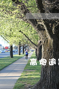 高炮逾期一個(gè)月還可以貸嗎