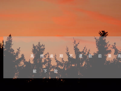 高炮逾期不還款后果(高炮逾期了其他高炮還能下款)