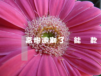 高炮逾期了還能貸款嗎