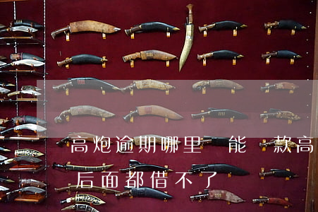 高炮逾期哪里還能貸款(高炮一個逾期是不是后面都借不了?)