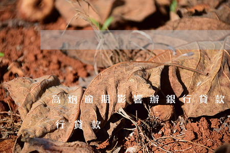 高炮逾期影響辦銀行貸款(高炮逾期影響辦銀行貸款)