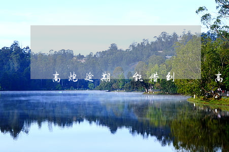 高炮逾期還能借到錢嗎 高炮逾期了還能再借嗎