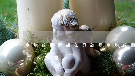 高炮逾期還能在貸款嗎(高炮逾期后利息太高怎么處理)