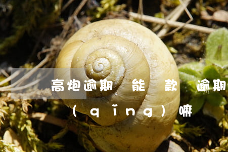 高炮逾期還能貸款嗎(逾期高炮口子還可以申請(qǐng)嘛)