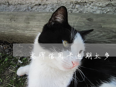 高碑信用卡逾期太多