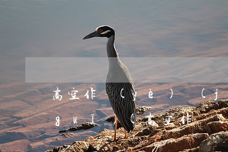 高空作業(yè)機(jī)器法律法規(guī)(高空作業(yè)的法律規(guī)定有哪些呢)