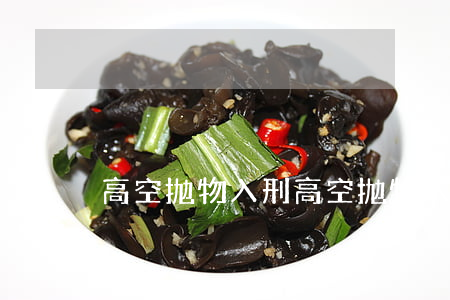 高空抛物入刑(高空抛物入刑发布时间)