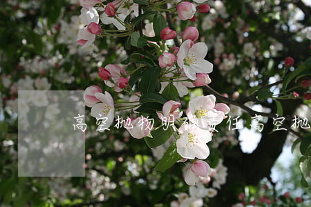高空抛物明确责任(高空抛物谁承担责任)
