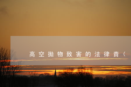 高空拋物致害的法律責(zé)任