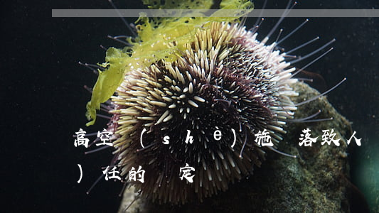 高空設(shè)施脫落致人損害責(zé)任的認定