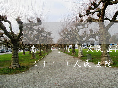 高級(jí)人民法院還可以再上訴嗎(高級(jí)人民法院還可以再上訴嗎)