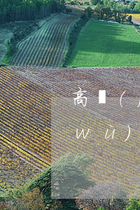 高級(jí)合伙人對(duì)于債務(wù)承擔(dān)什么責(zé)任