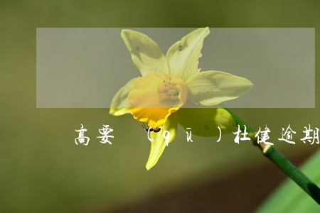 高要區(qū)杜健逾期-高要杜潤瓊