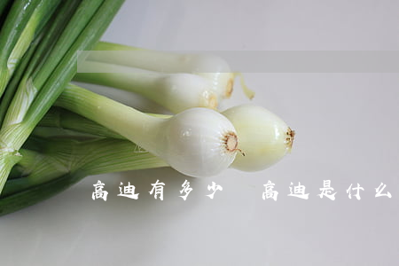 高迪有多少錢(高迪是什么)