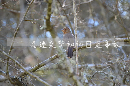 高速交警如何認定事故