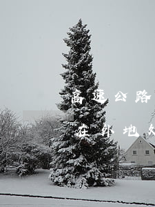 高速公路违法异地可以处理吗(高速违法可以在外地处理吗)