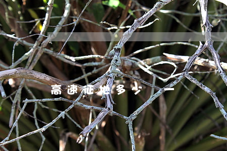 高速征地多少錢一畝