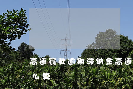 高速罚款逾期滞纳金(高速罚款逾期滞纳金怎么算)