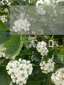 高速費(fèi)可以逾期多久 高速過路費(fèi)逾期后果