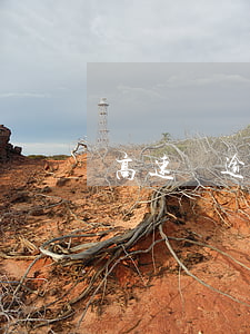高速費逾期(高速費逾期不交怎么處理)