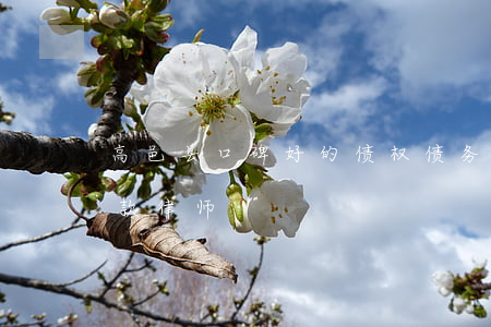 高邑县口碑好的债权债务律师收费-高邑欠款律师