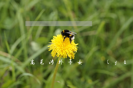 高邑涉外子女撫養(yǎng)律師
