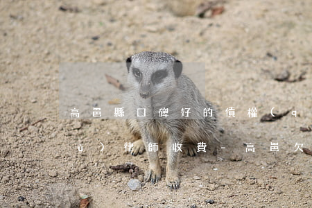 高邑縣口碑好的債權(quán)債務(wù)律師收費-高邑欠款律師