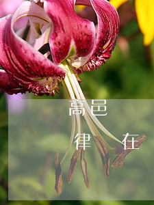 高邑縣辦理債權(quán)債務(wù)律師在線咨詢-高邑縣辦理債權(quán)債務(wù)律師在線咨詢電話