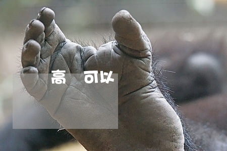 高鐵可以帶煙嗎