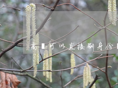 高鐵可以直接刷身份證進(jìn)站嗎