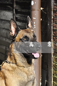 高鐵票逾期能退票嗎(超時了高鐵能退票嗎)