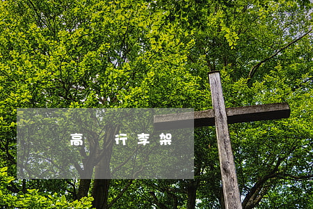 高鐵行李架