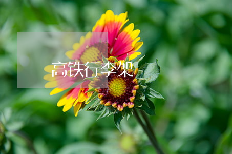 高铁行李架