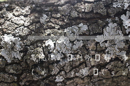 高院13則判例詳解: 事實(shí)勞動(dòng)關(guān)系如何認(rèn)定?