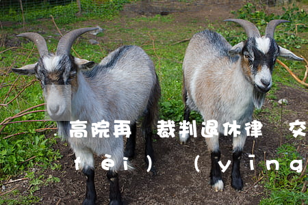 高院再審裁判：退休律師交通事故的誤工費(fèi)，應(yīng)按這個標(biāo)準(zhǔn)認(rèn)定