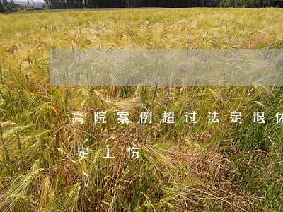 高院案例：超过法定退休年龄务工农民能否认定工伤