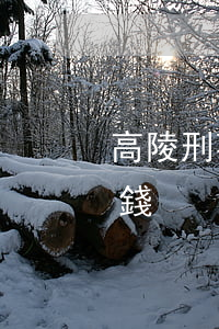 高陵刑事辯護要多少錢(高陵刑事辯護要多少錢)