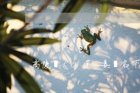 高陵區(qū)姜濤名下信用卡法律糾紛-
