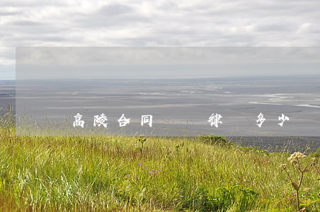 高陵合同糾紛律師多少錢(qián)
