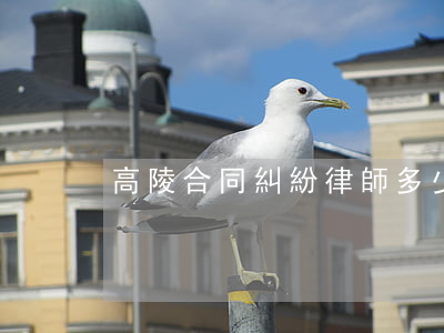 高陵合同糾紛律師多少錢