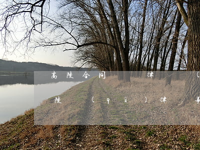 高陵合同糾紛律師聯(lián)系方式(高陵區(qū)律師事務(wù)所)