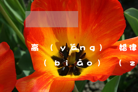 高陽(yáng)離婚律師收費(fèi)標(biāo)準(zhǔn)(離婚案律師的收費(fèi)標(biāo)準(zhǔn))