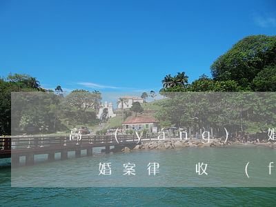 高陽(yáng)離婚律師收費(fèi)(離婚案律師收費(fèi))