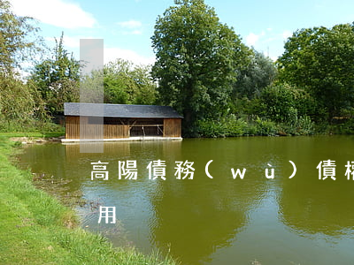 高陽債務(wù)債權(quán)律師費用